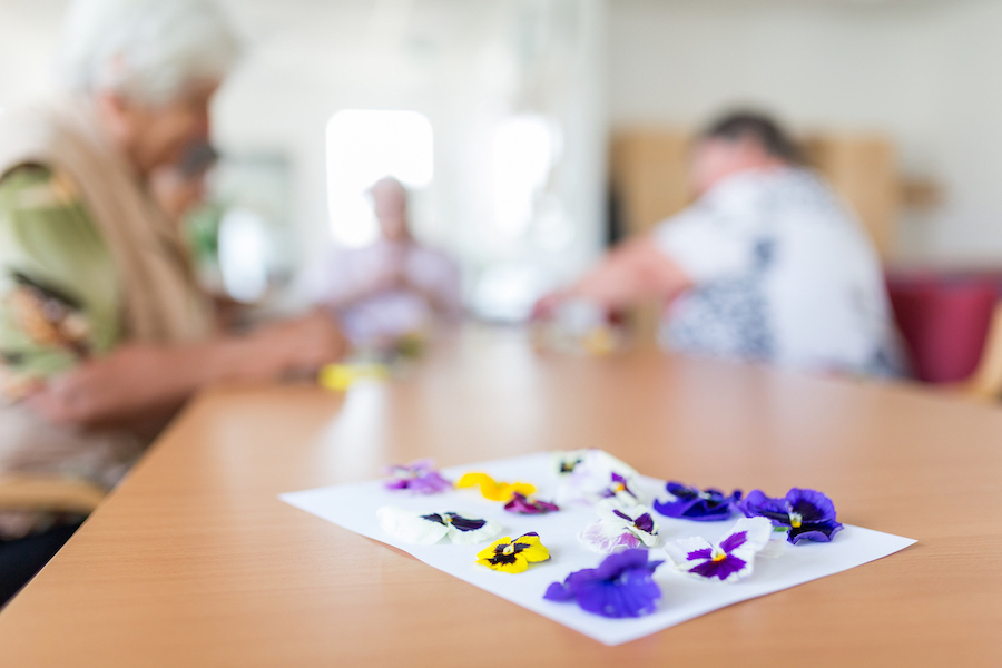Gepresste Stiefmütterchen auf dem Tisch beim kreativen Gestalten